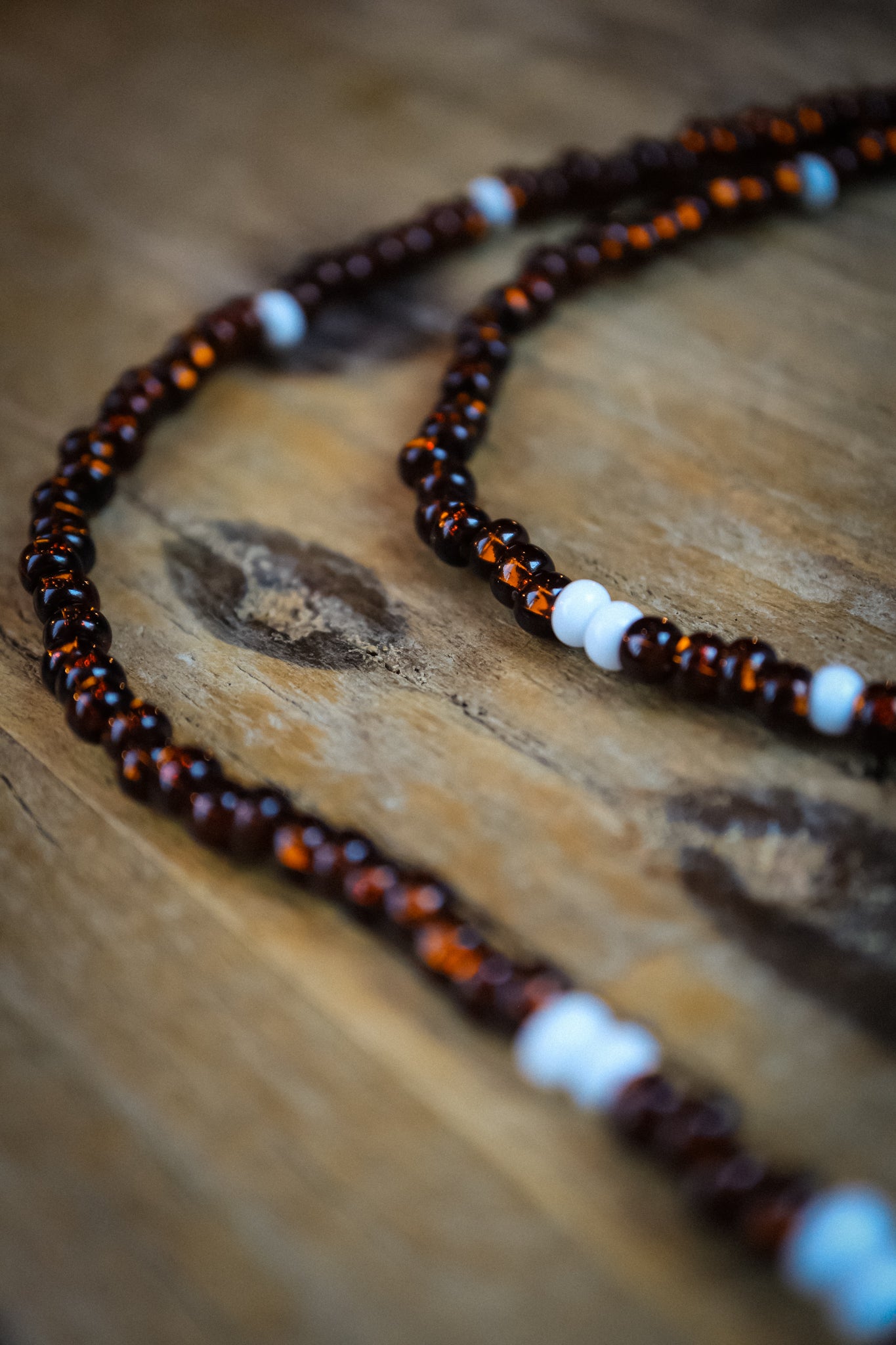 the Earth and Bone Necklace