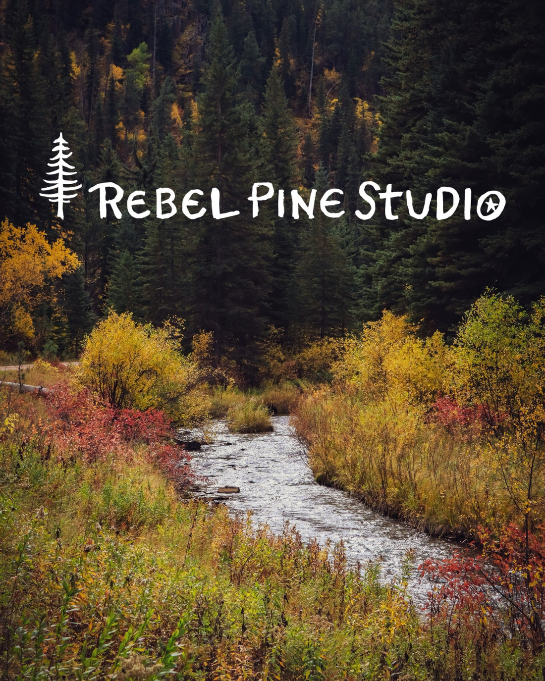 Rebel Pine State of Mind