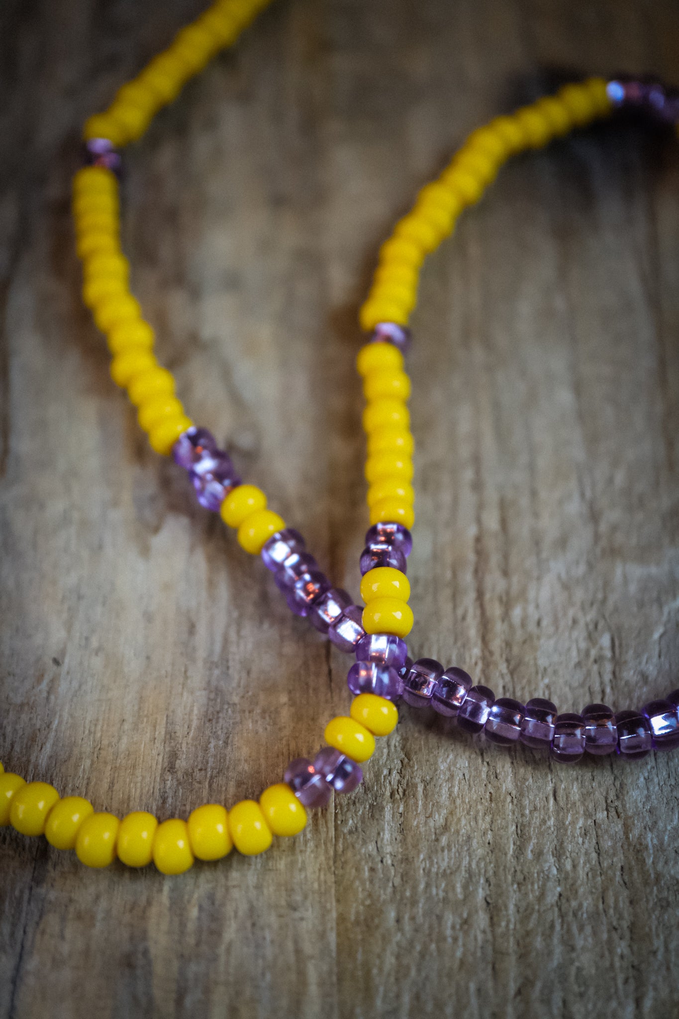 the Wild Aster Necklace
