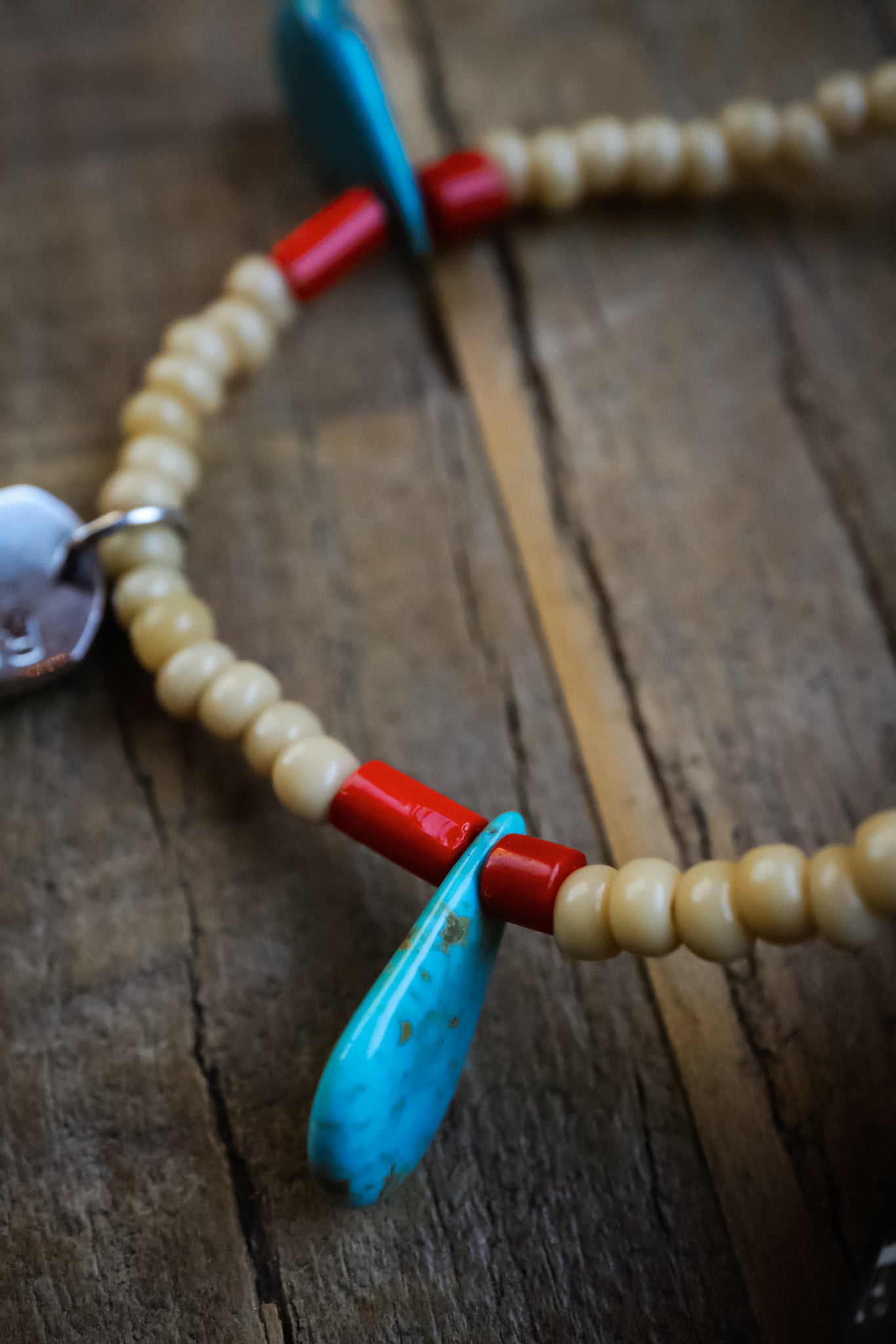 the High Desert Roam Necklace