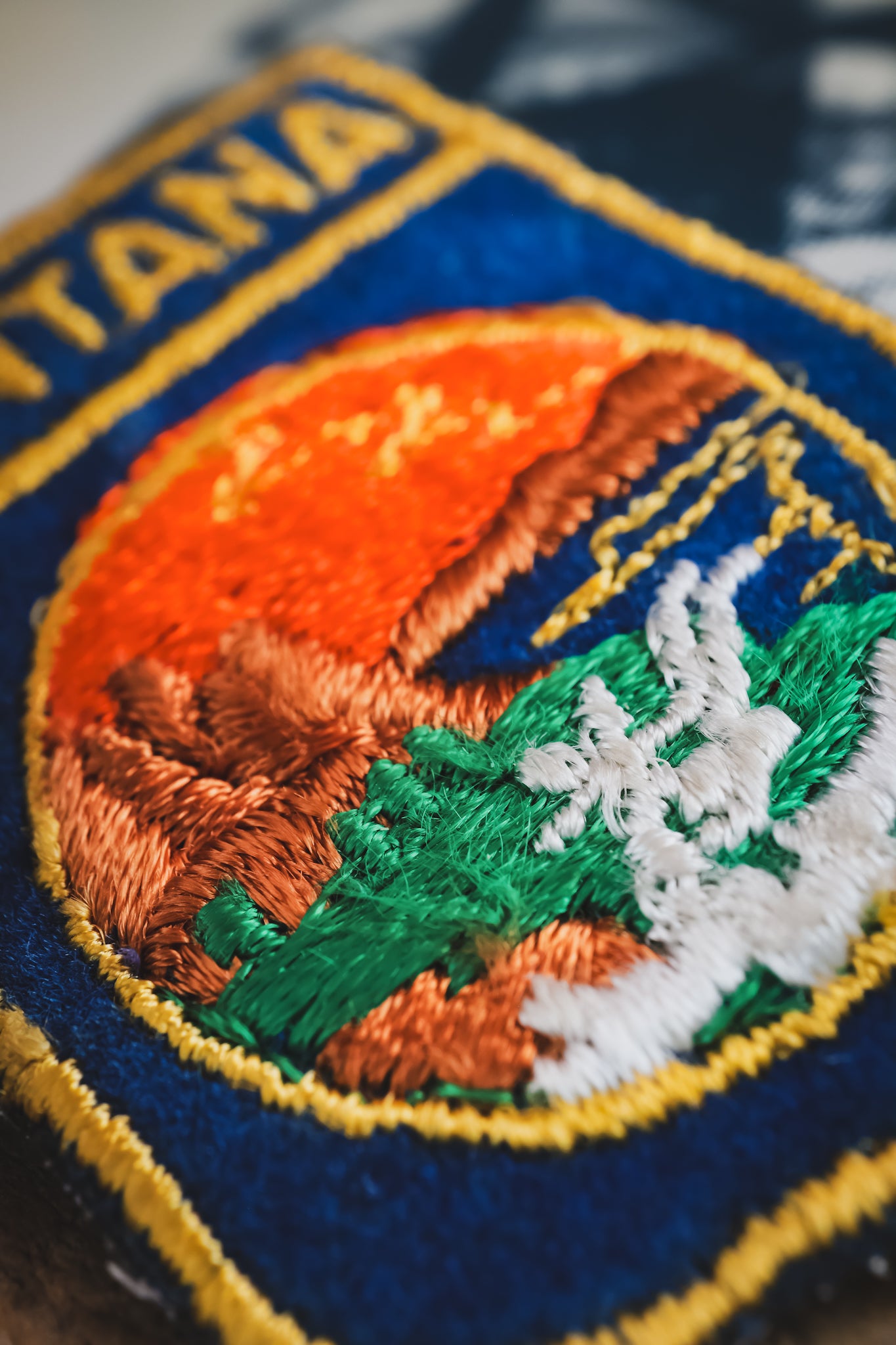 Vintage Montana Patch