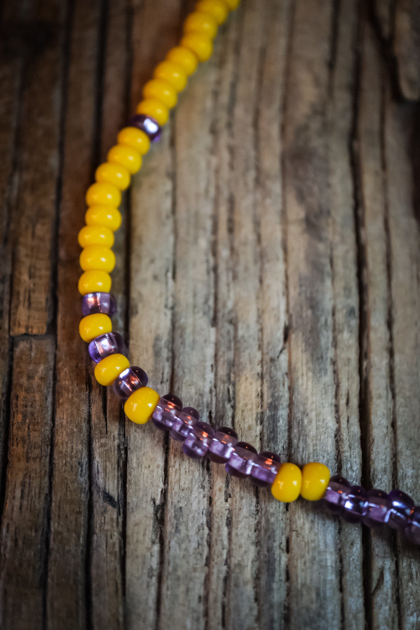 the Wild Aster Necklace