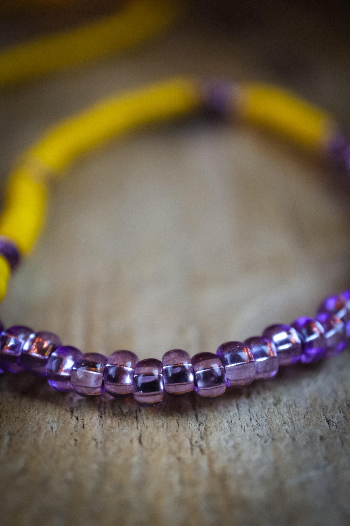 the Wild Aster Necklace