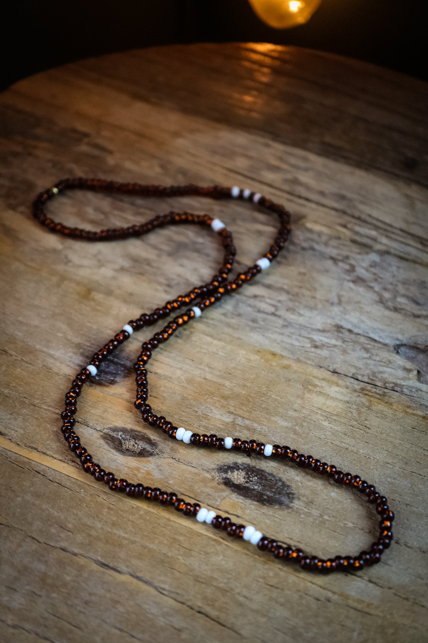 the Earth and Bone Necklace