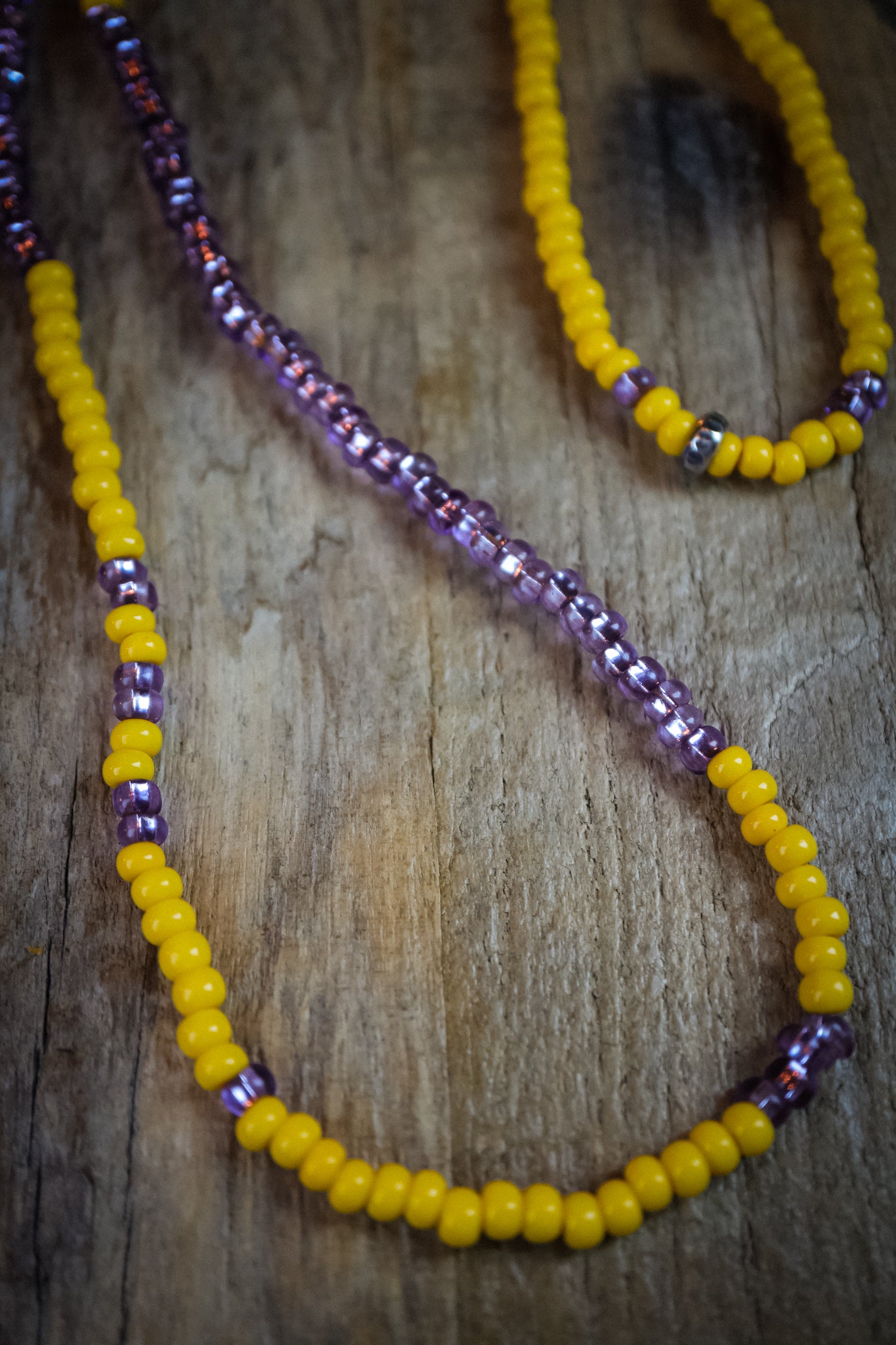 the Wild Aster Necklace