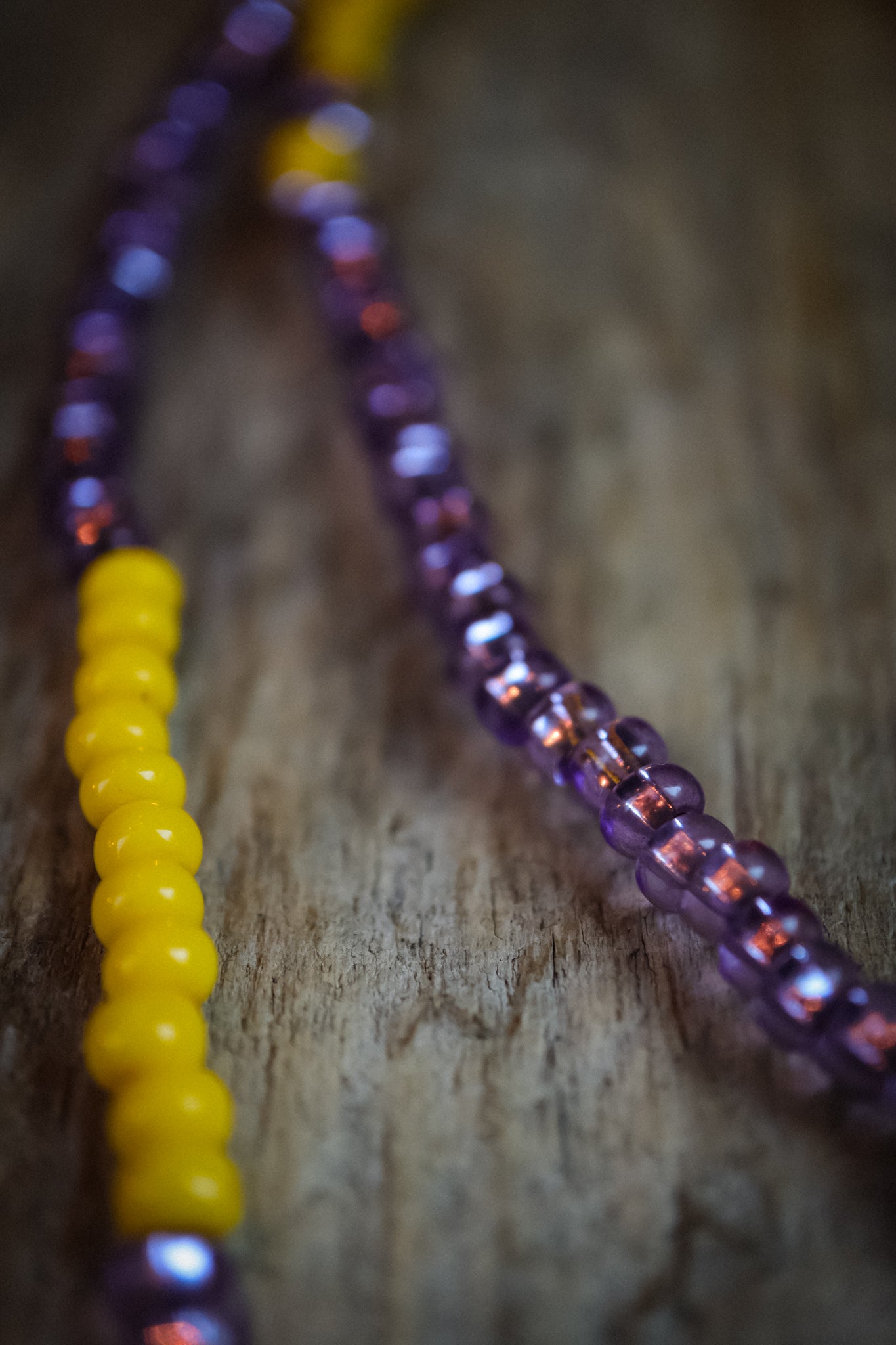 the Wild Aster Necklace
