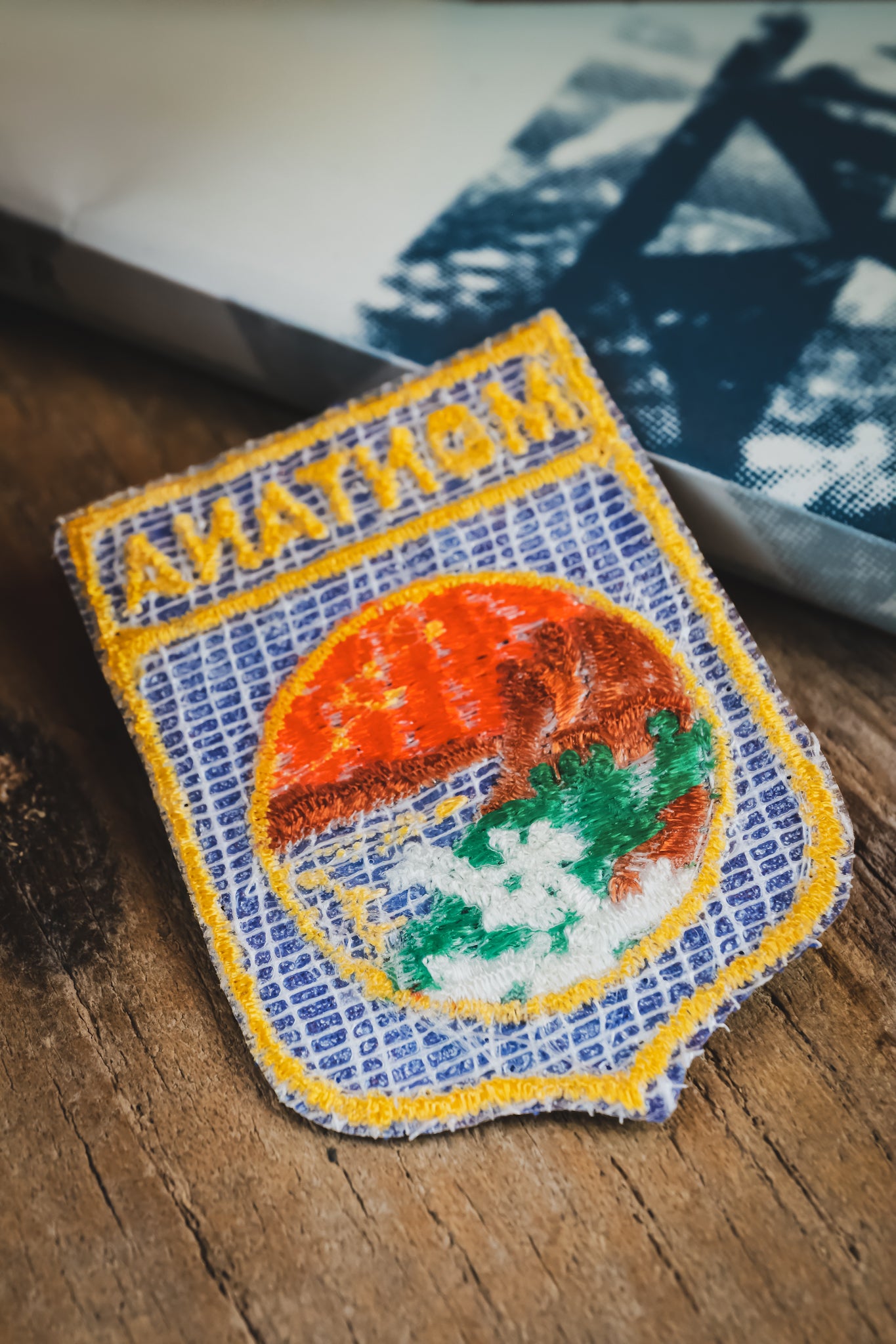 Vintage Montana Patch
