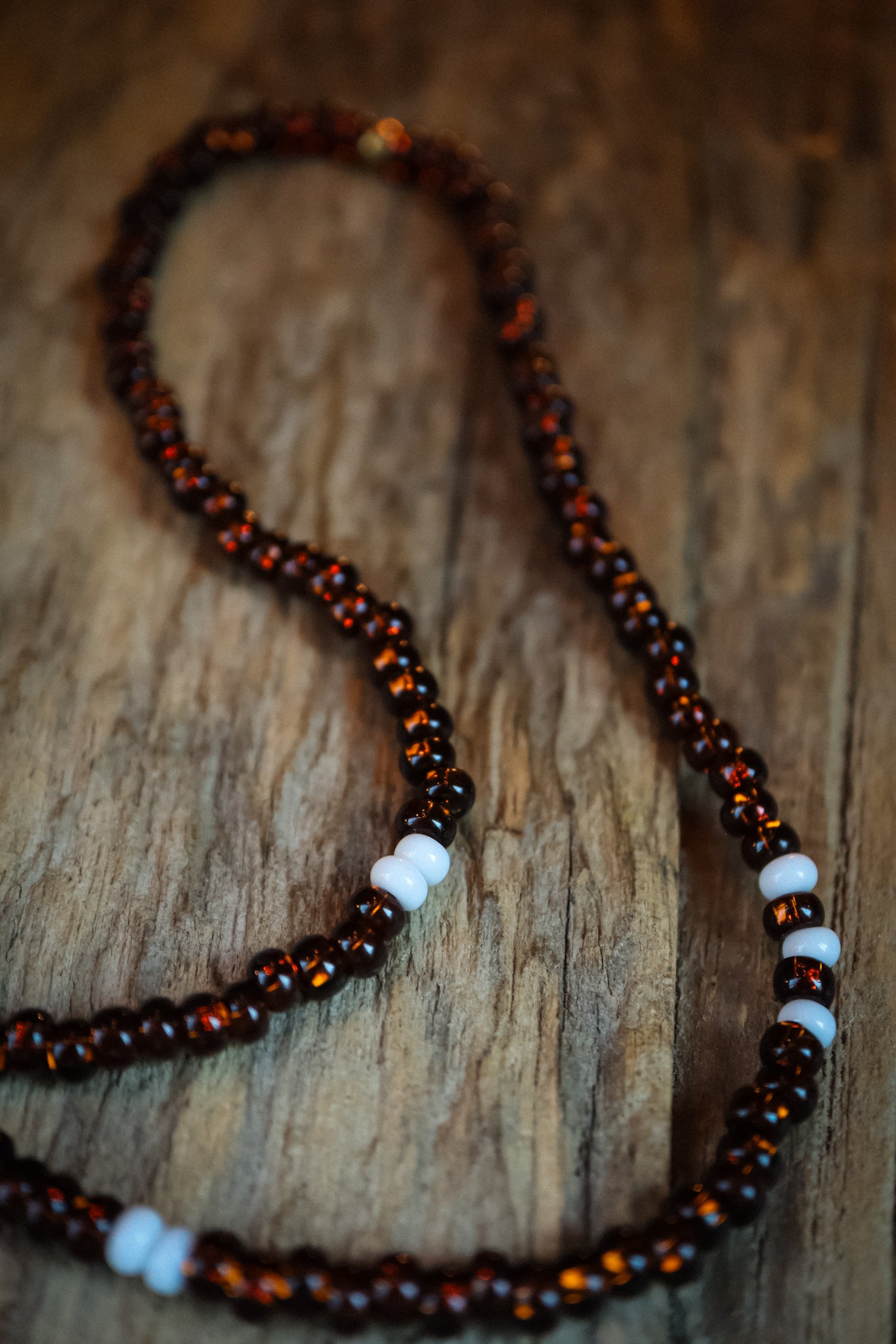 the Earth and Bone Necklace
