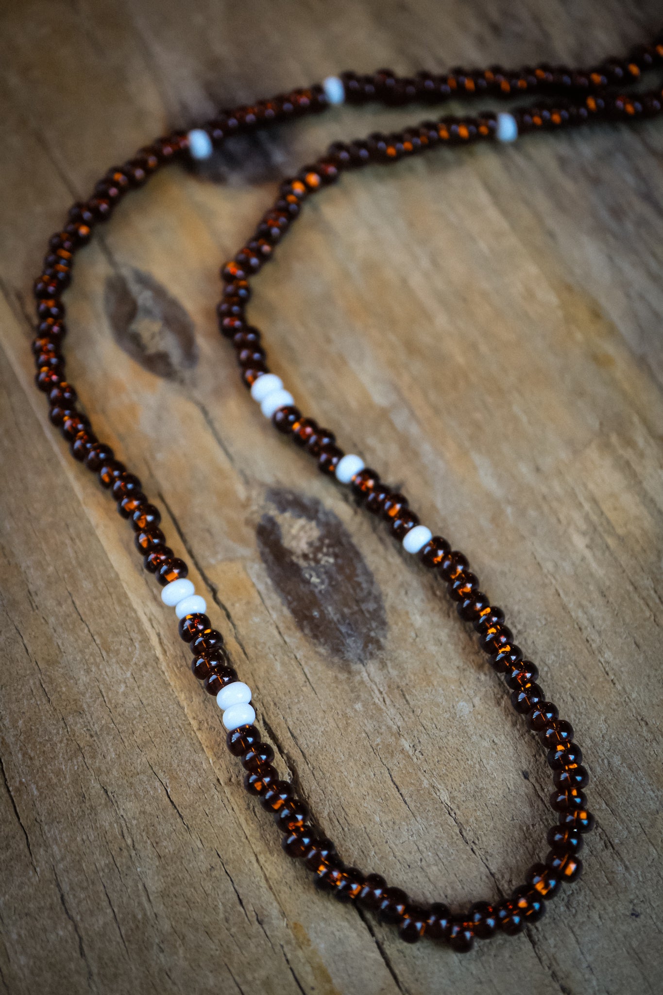 the Earth and Bone Necklace