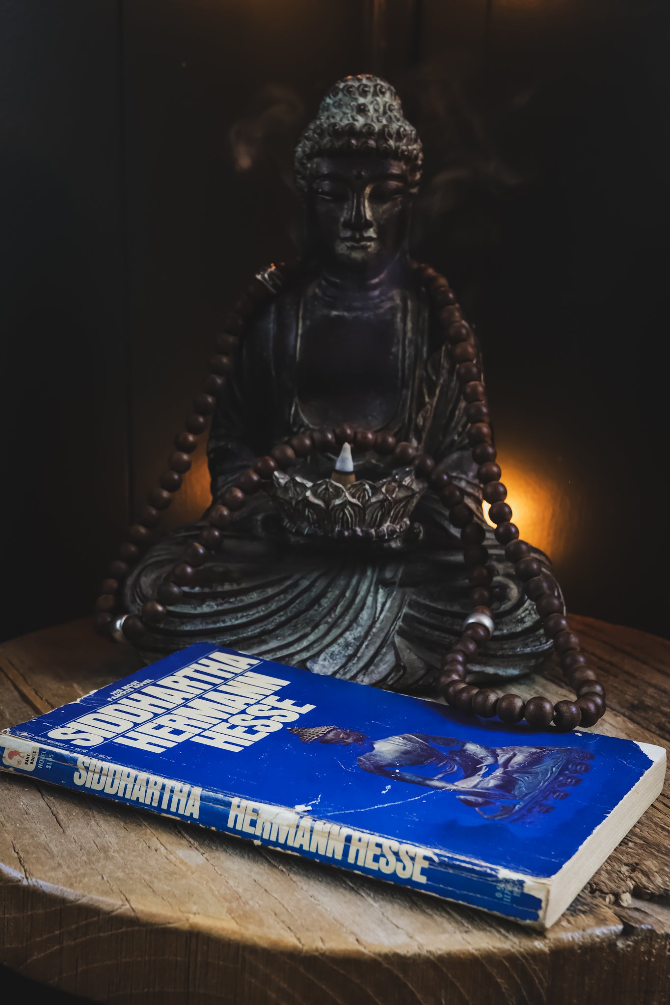 Vintage 1971 Siddhartha by Herman Hesse