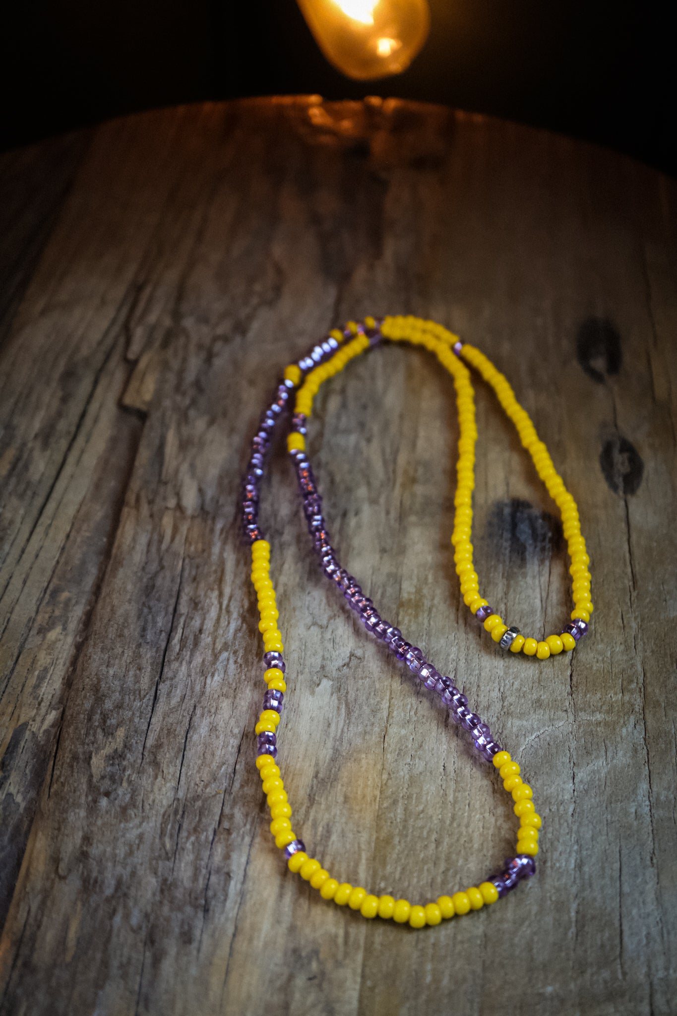 the Wild Aster Necklace