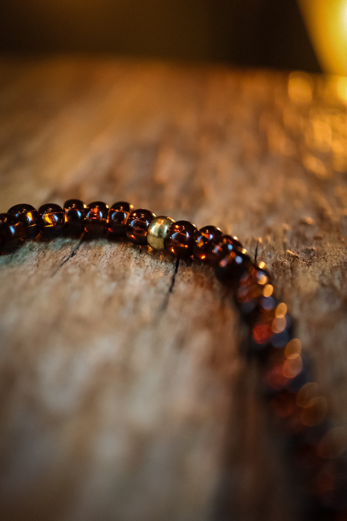 the Earth and Bone Necklace