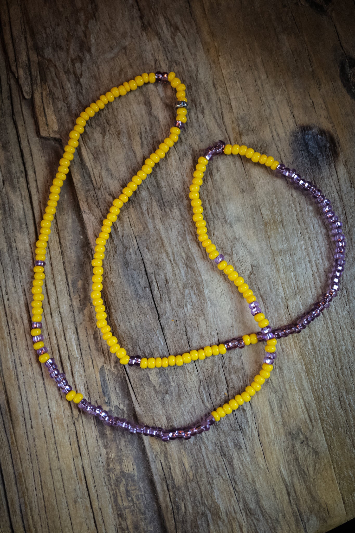 the Wild Aster Necklace